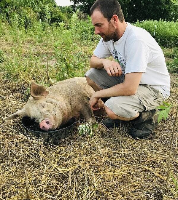 Trouble on the Farm