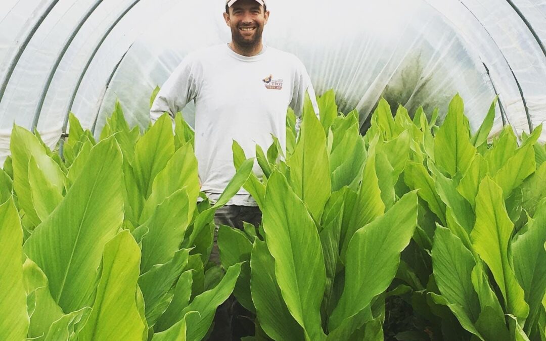 Stonecrop’s Two Tropical Crops