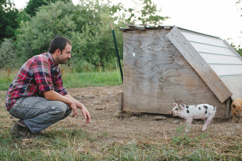 Foot Drop On The Farm