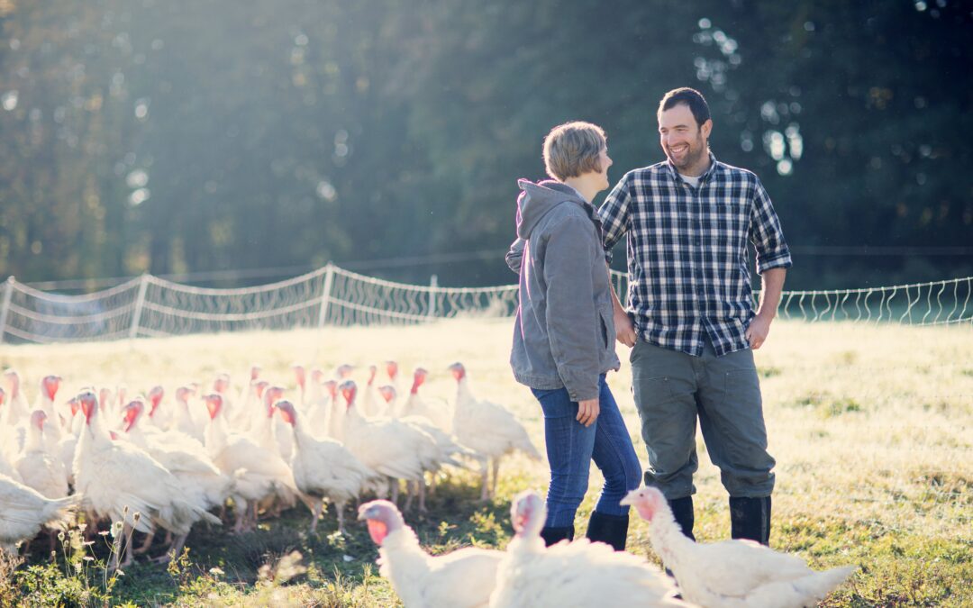 Stonecrop farmers hosted story contest