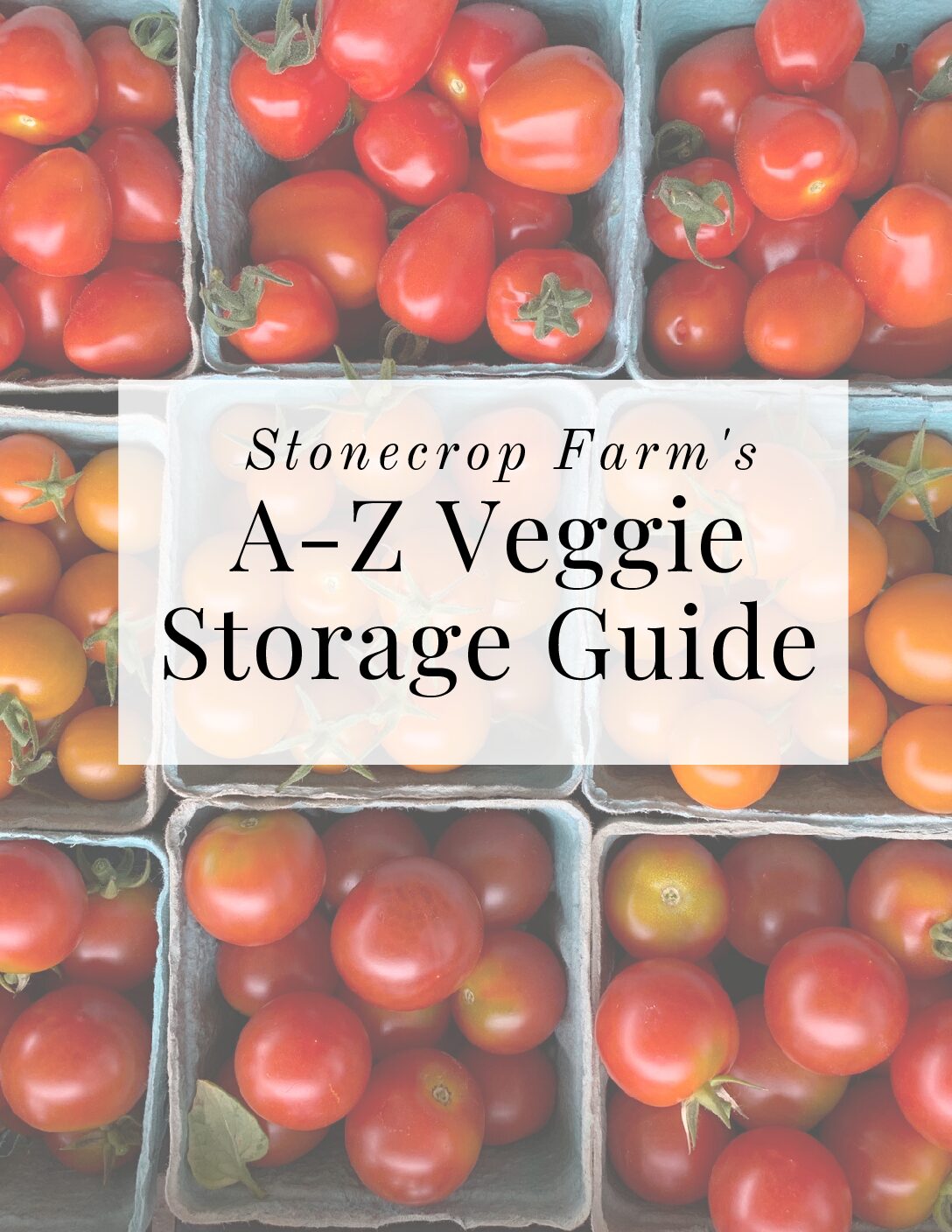 Veggie Storage Guide